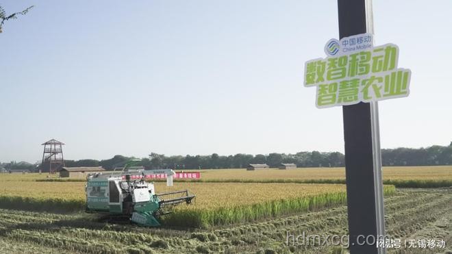 中国田间好丰景：智慧农业助力乡村振兴案例研究